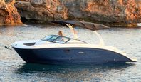 Sea Ray SDX 270 2020