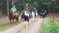 Turridning på westernhästar